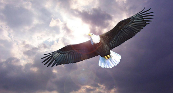 腾博会官网·专业效劳,诚信为本