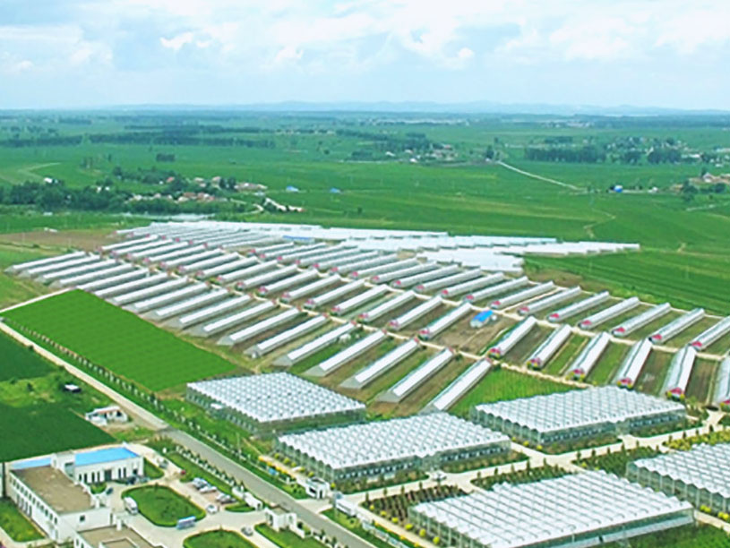 腾博会官网·专业效劳,诚信为本