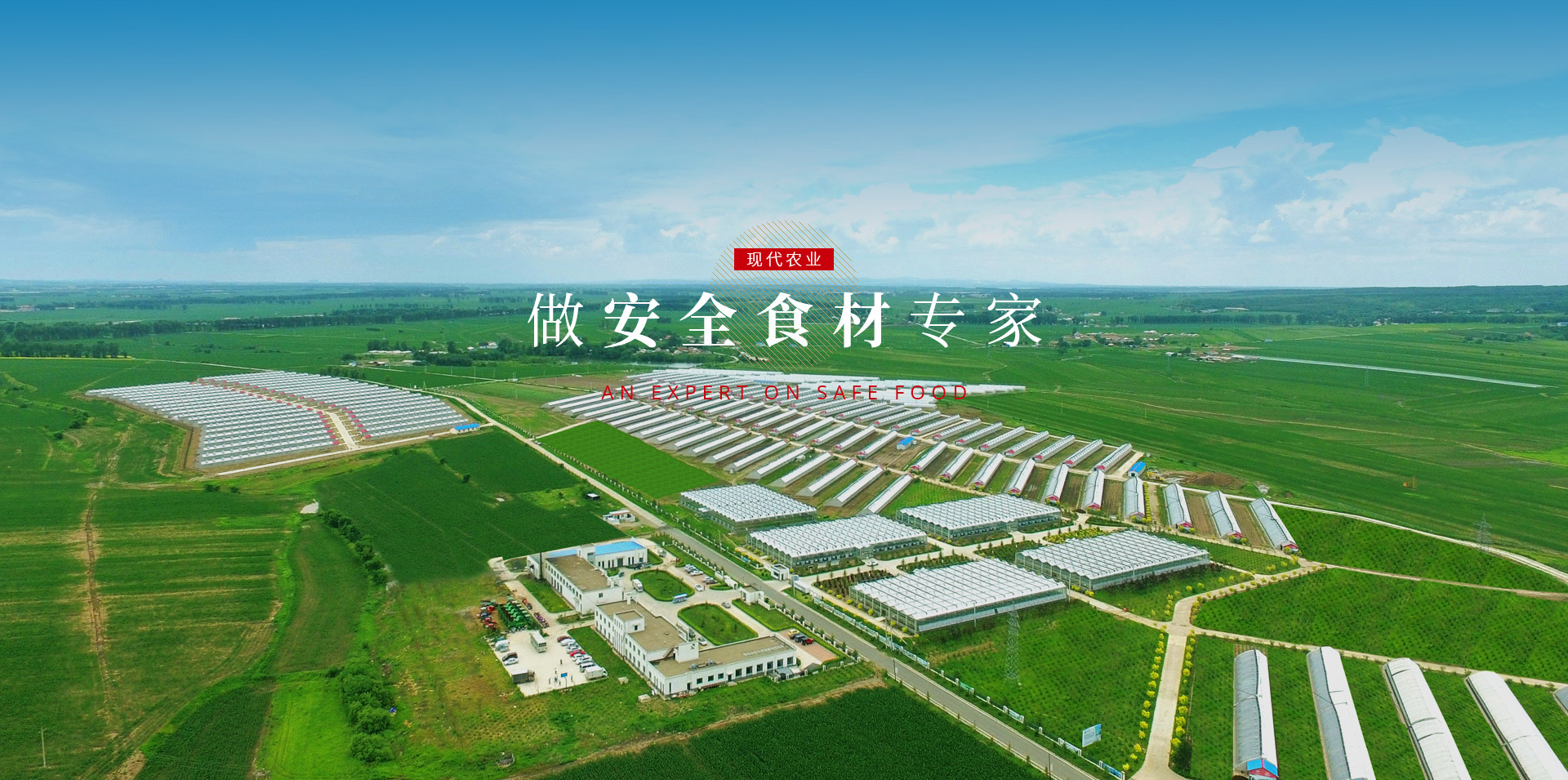 腾博会官网·专业效劳,诚信为本