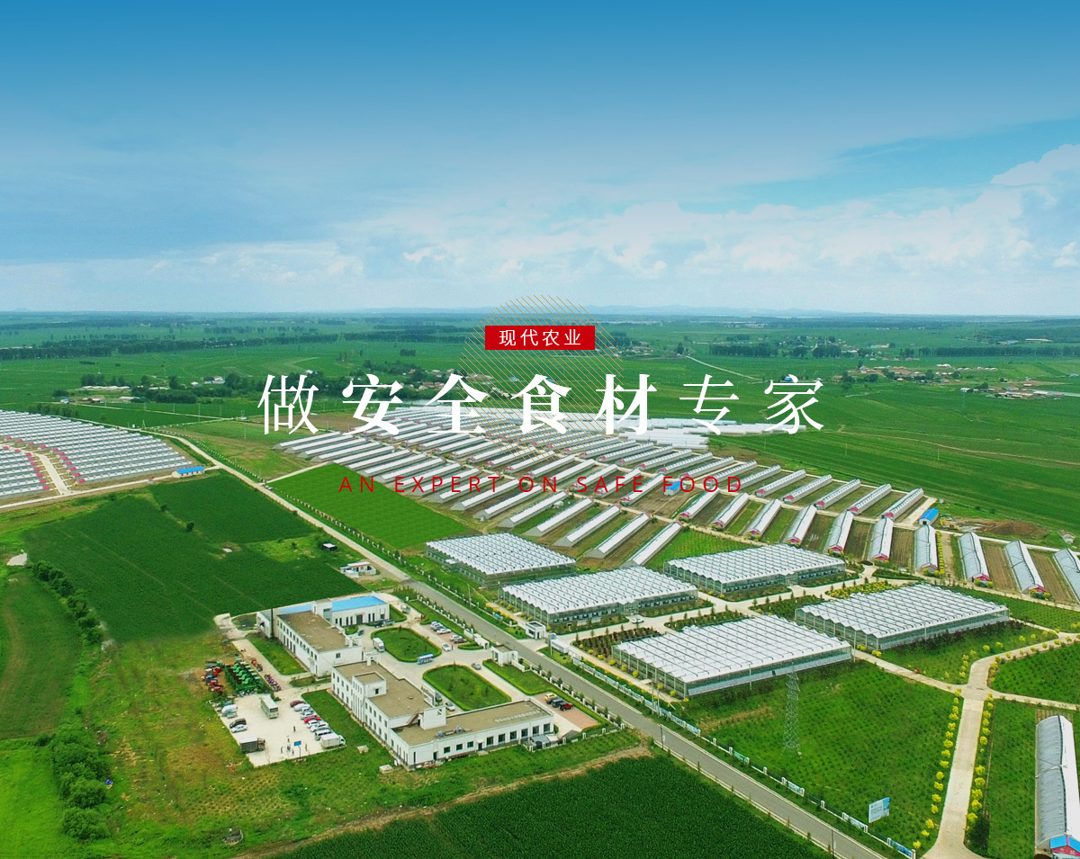 腾博会官网·专业效劳,诚信为本