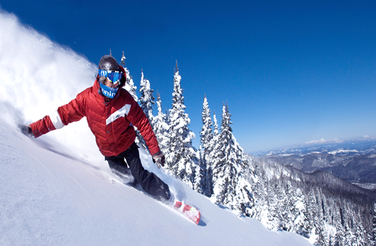 腾博会官网·专业效劳,诚信为本