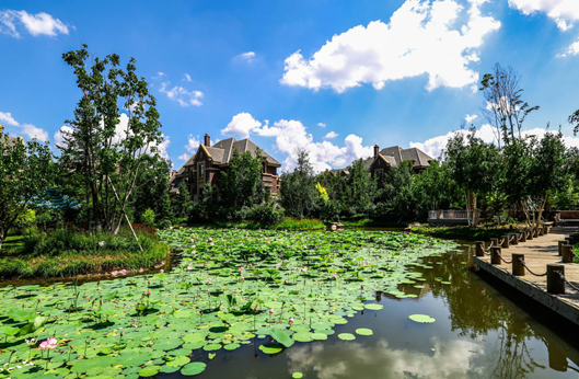 腾博会官网·专业效劳,诚信为本